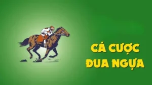 Kinh Nghiệm Cá Cược Đua Ngựa FFOK Thắng Lớn Từ Chuyên Gia Hàng Đầu